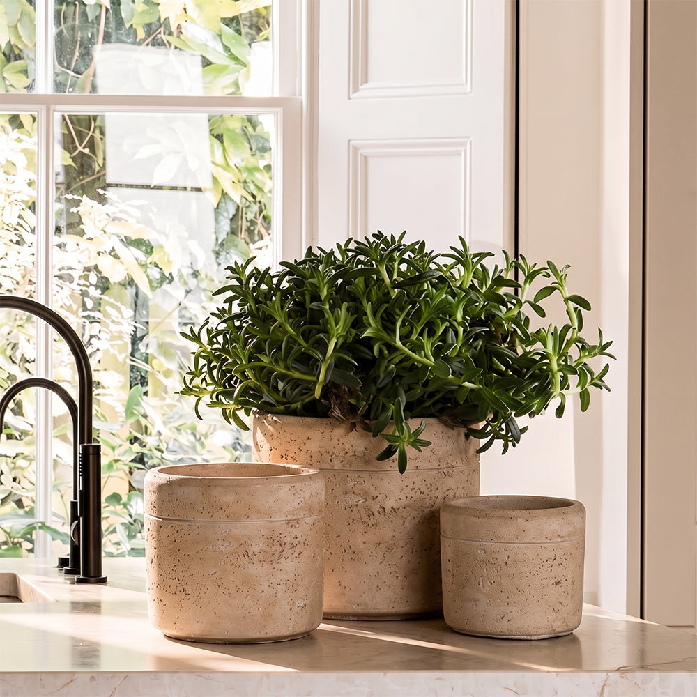 Sharona Beige Cement Planter Pot - Set of 3