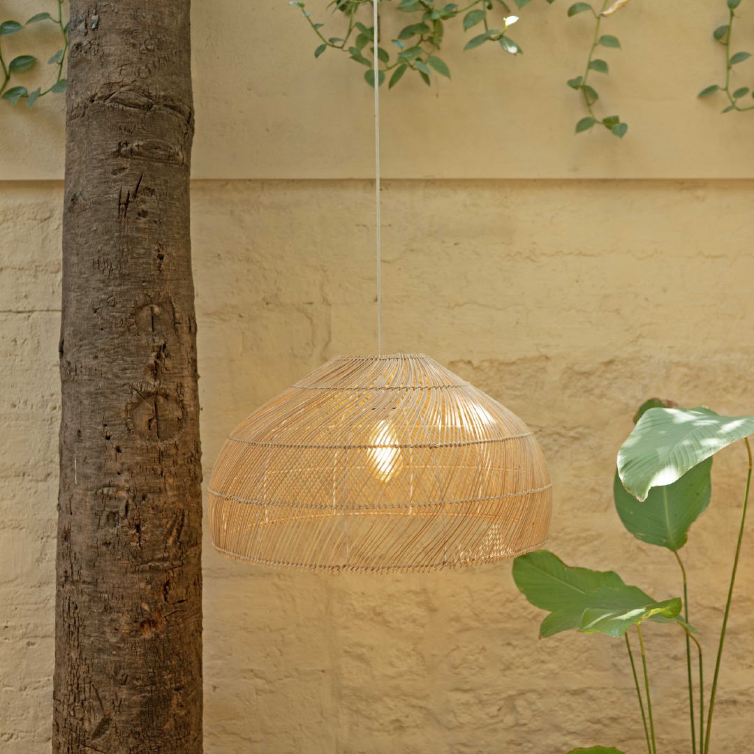 Canopy Hanging Light