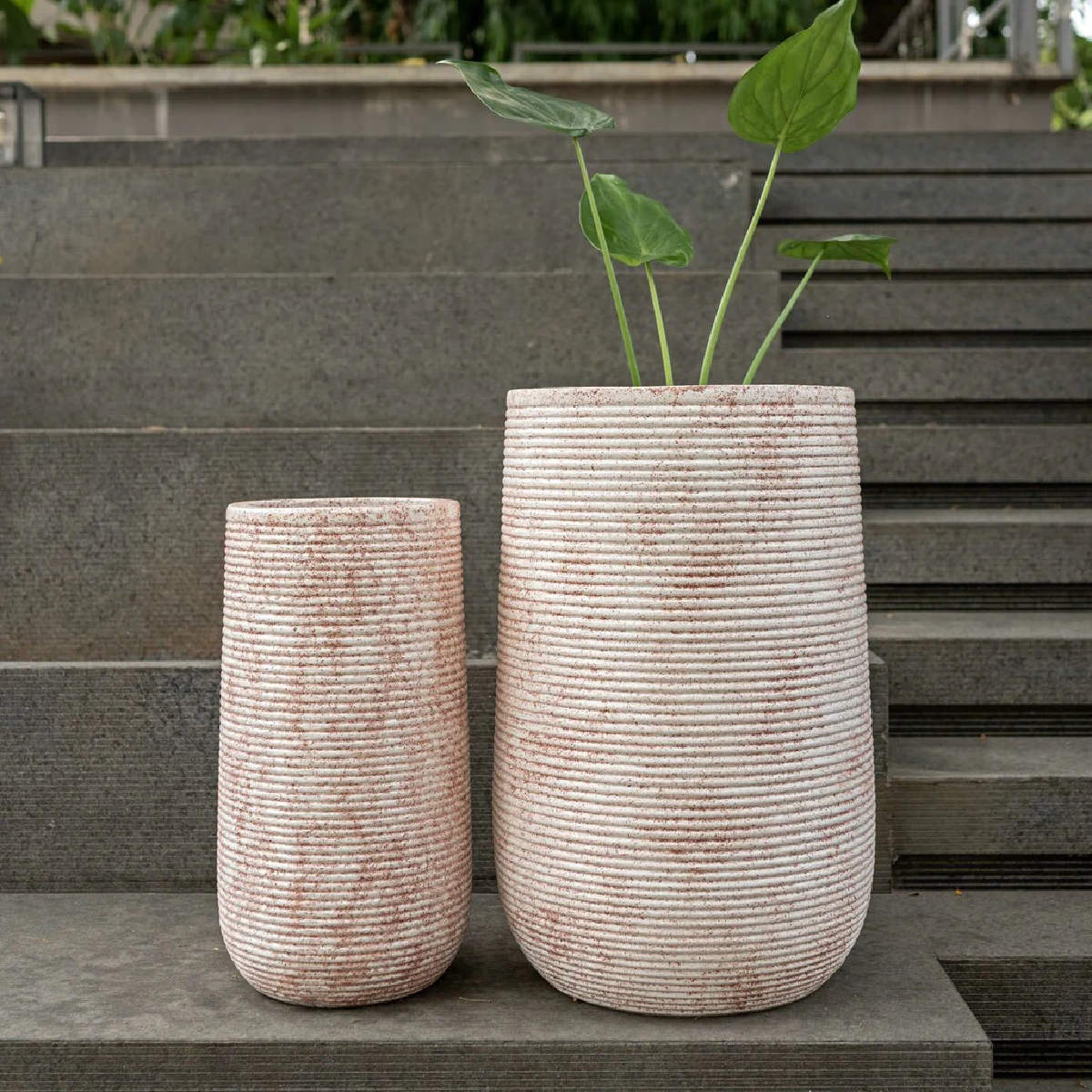 Rose Swirl Planters