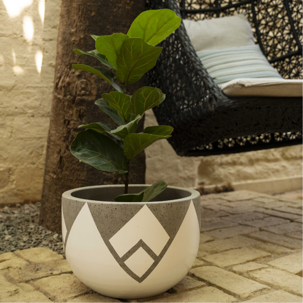 Tribalation Planter