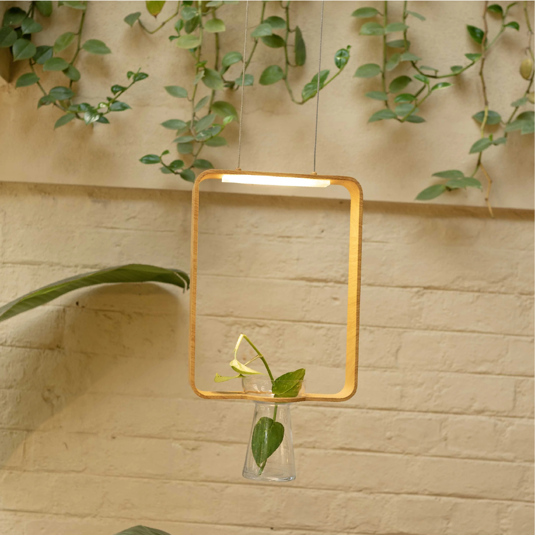 Frame Hanging Light