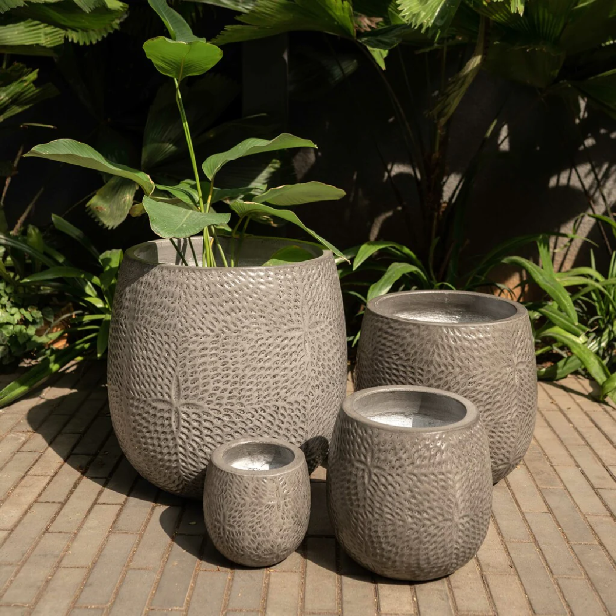 Grey Matter Planters