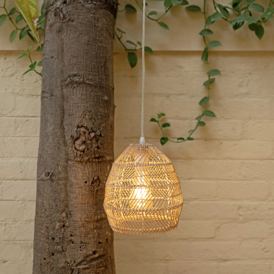 Dome Hanging Light