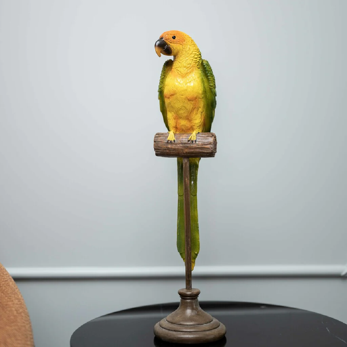 Parakeet Bird Curio