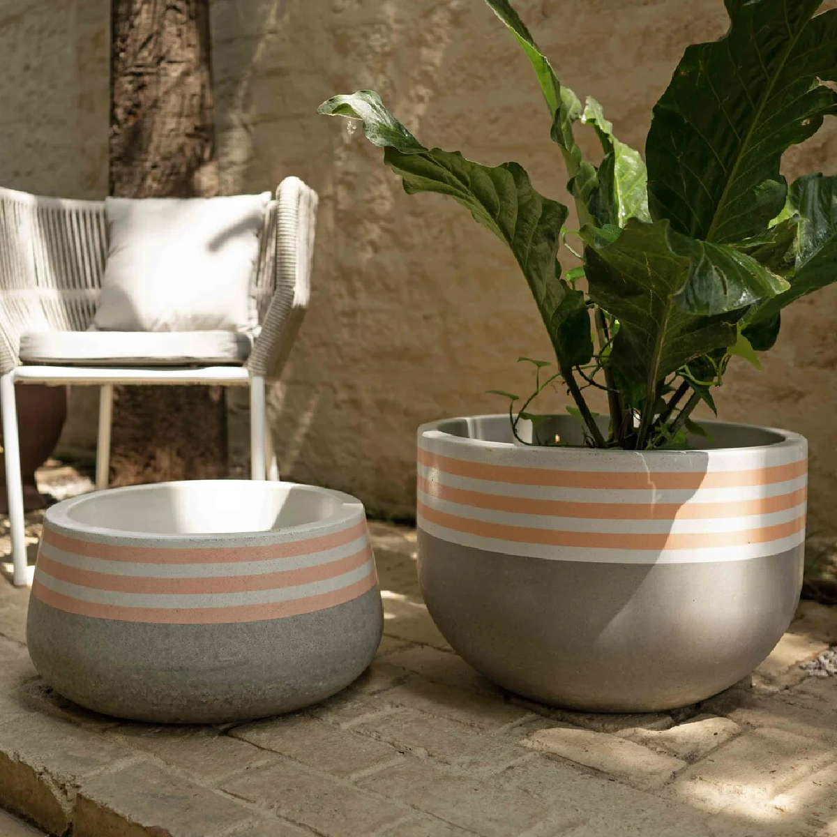 Striped Top Planter