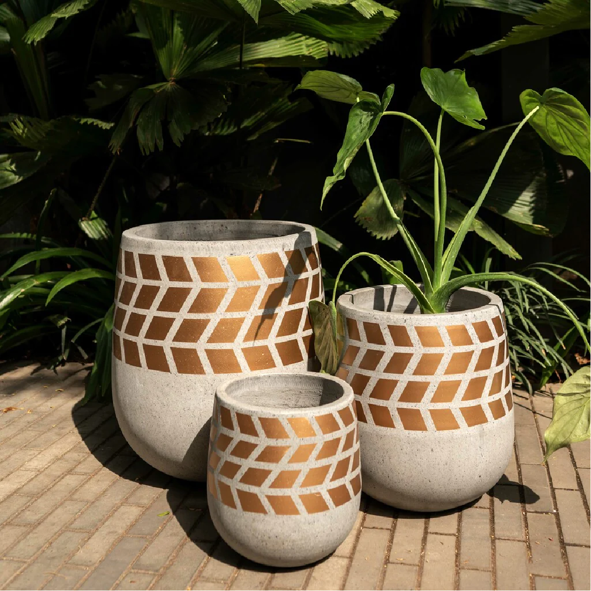 Glam Way Planters