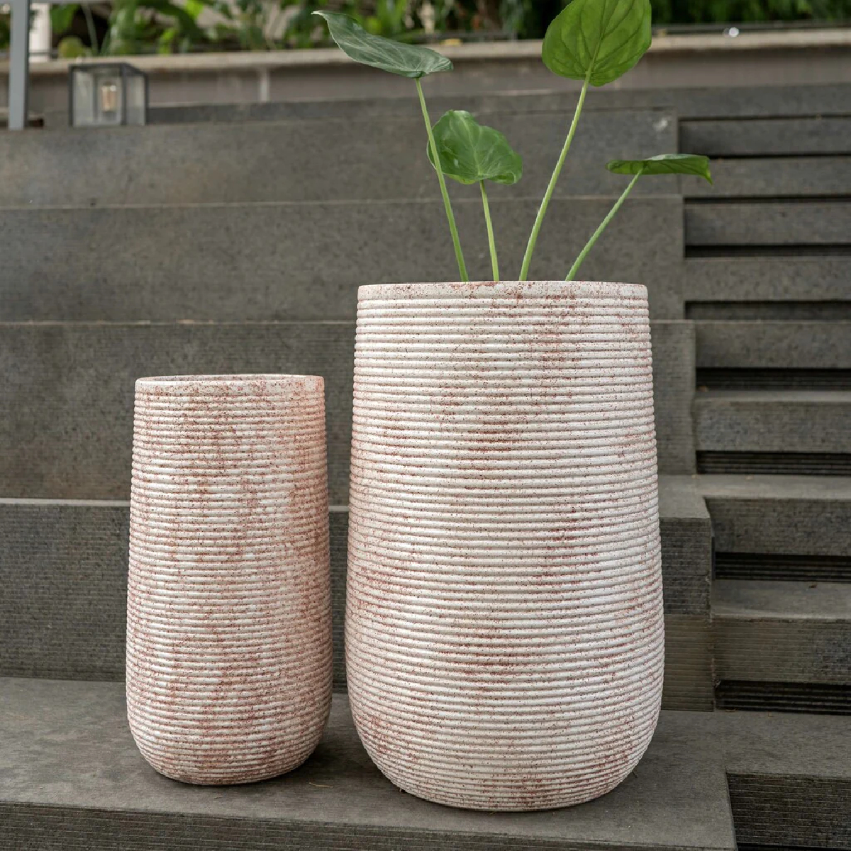 Rose Swirl Planters