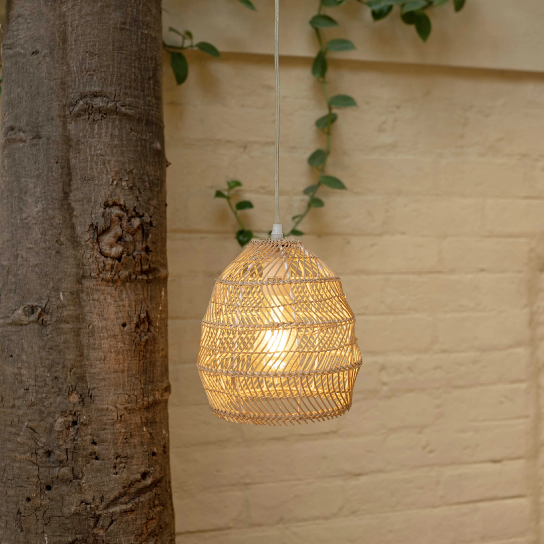 Dome Hanging Light