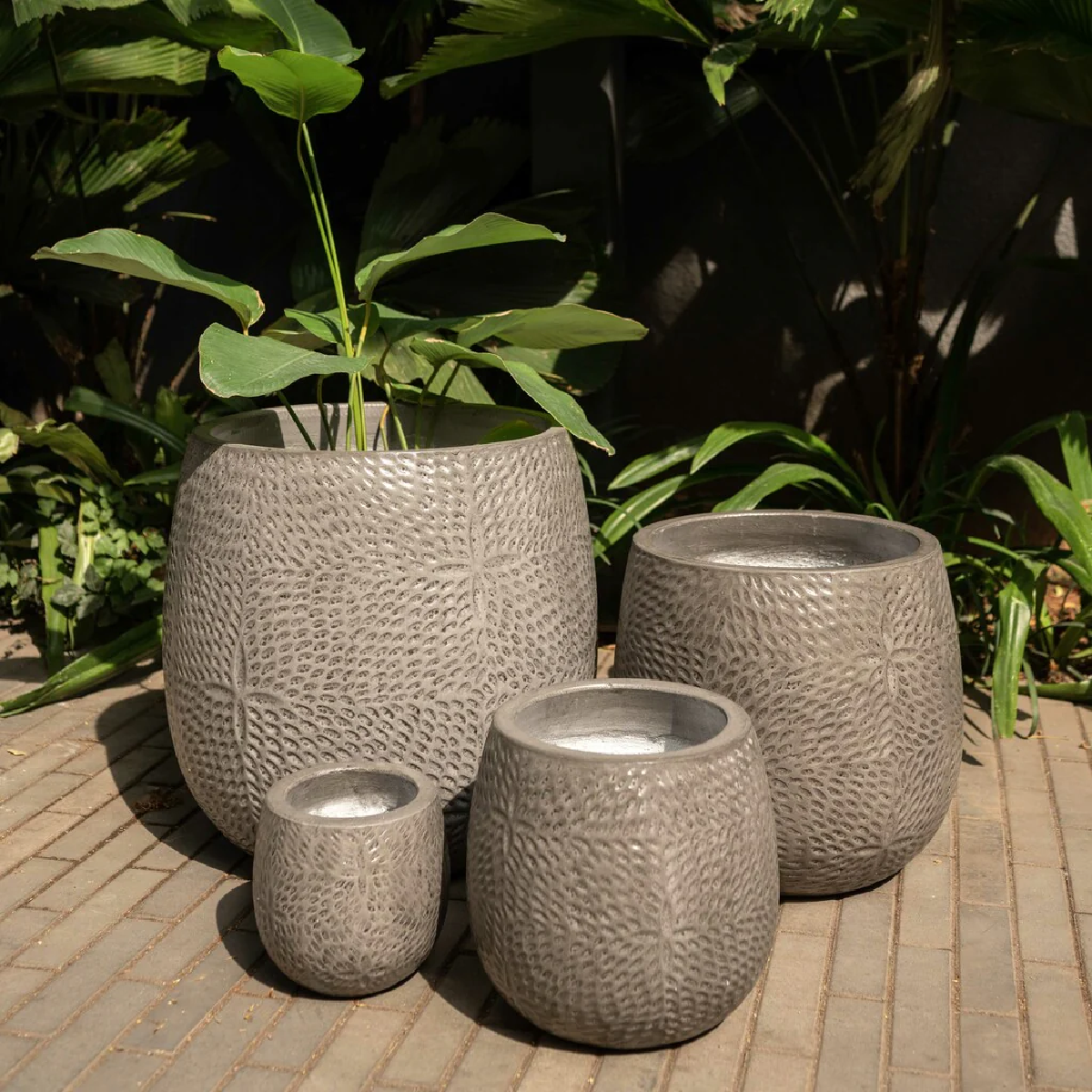 Grey Matter Planters