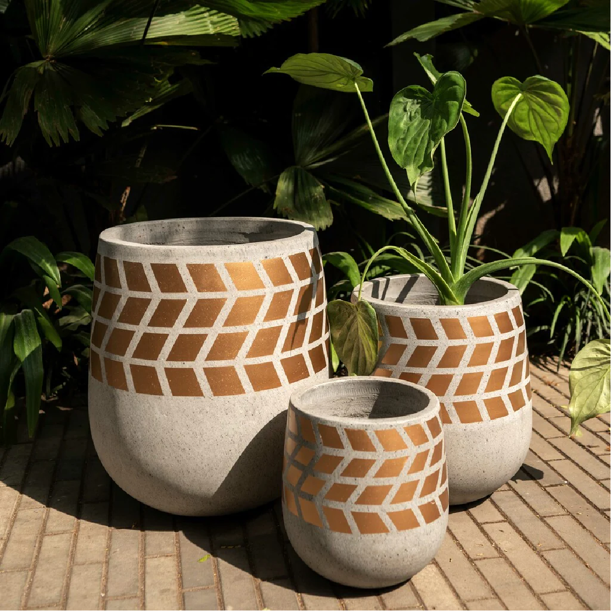 Glam Way Planters