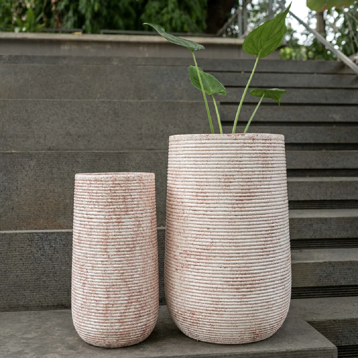 Rose Swirl Planters