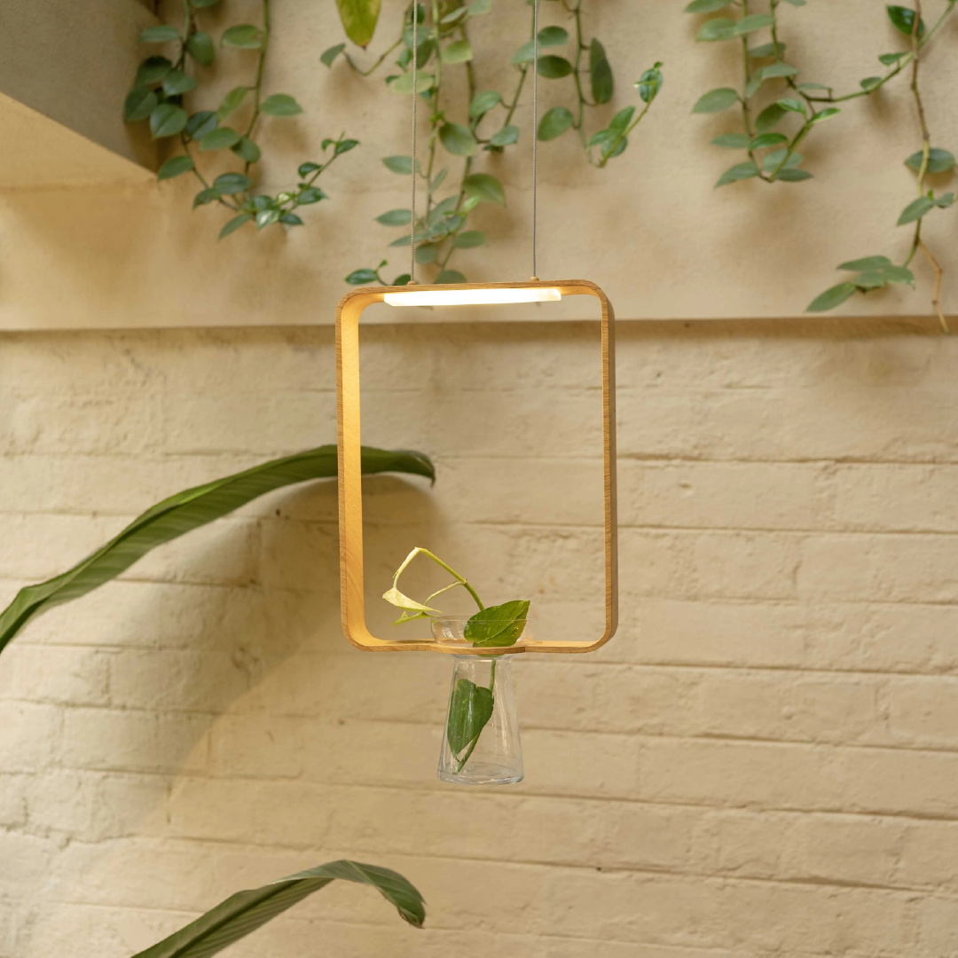 Frame Hanging Light