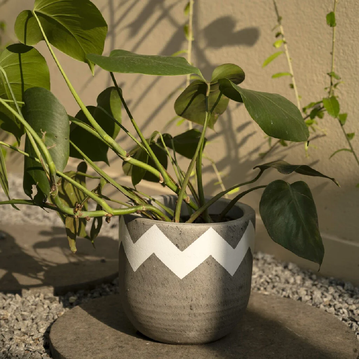 Insignia Planter