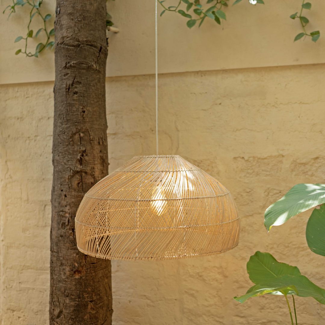 Canopy Hanging Light