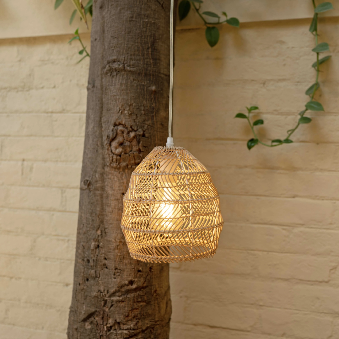 Dome Hanging Light