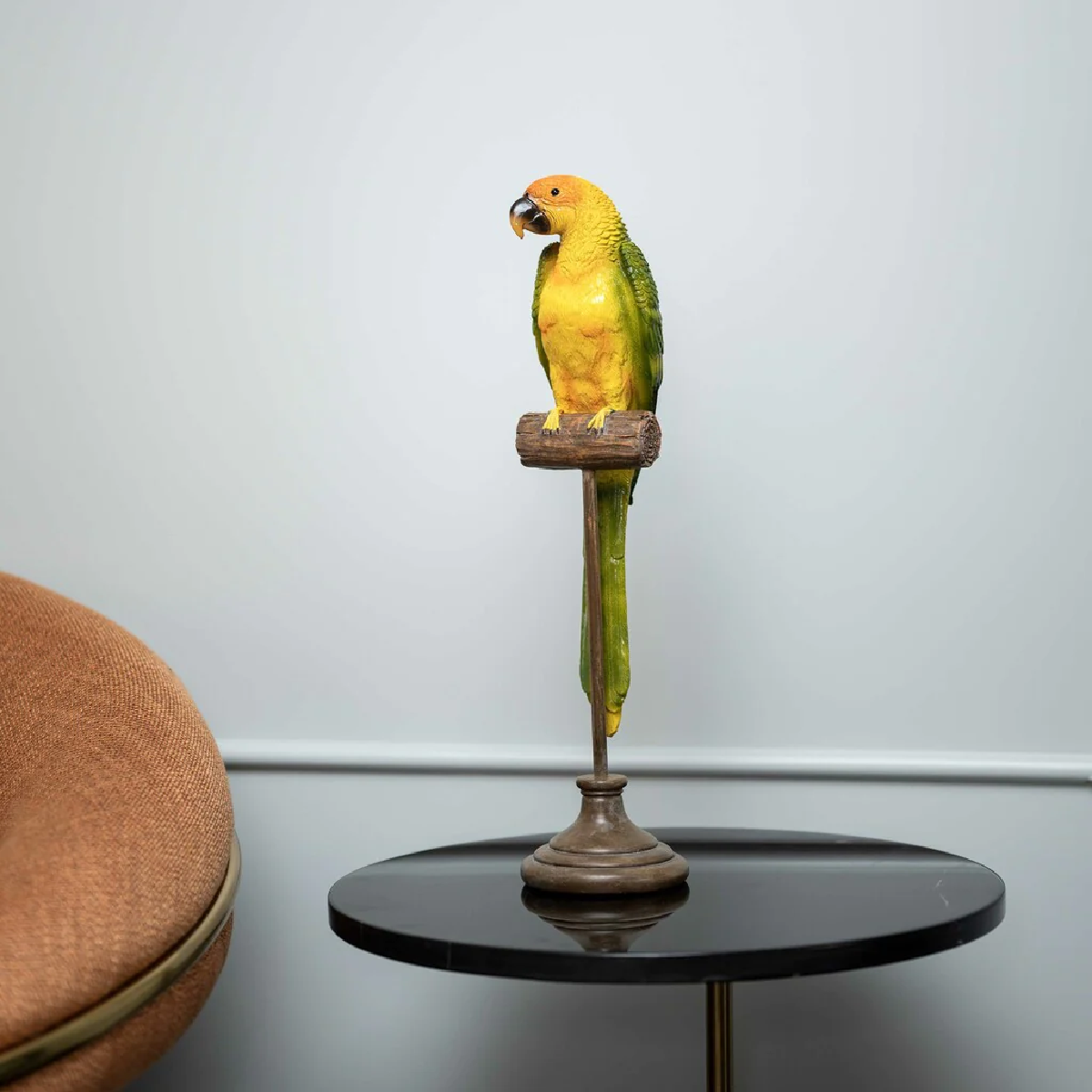 Parakeet Bird Curio