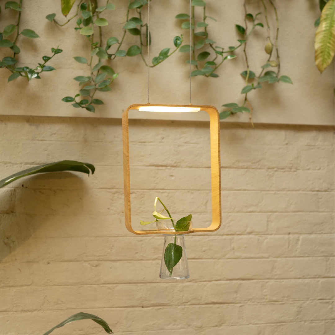 Frame Hanging Light