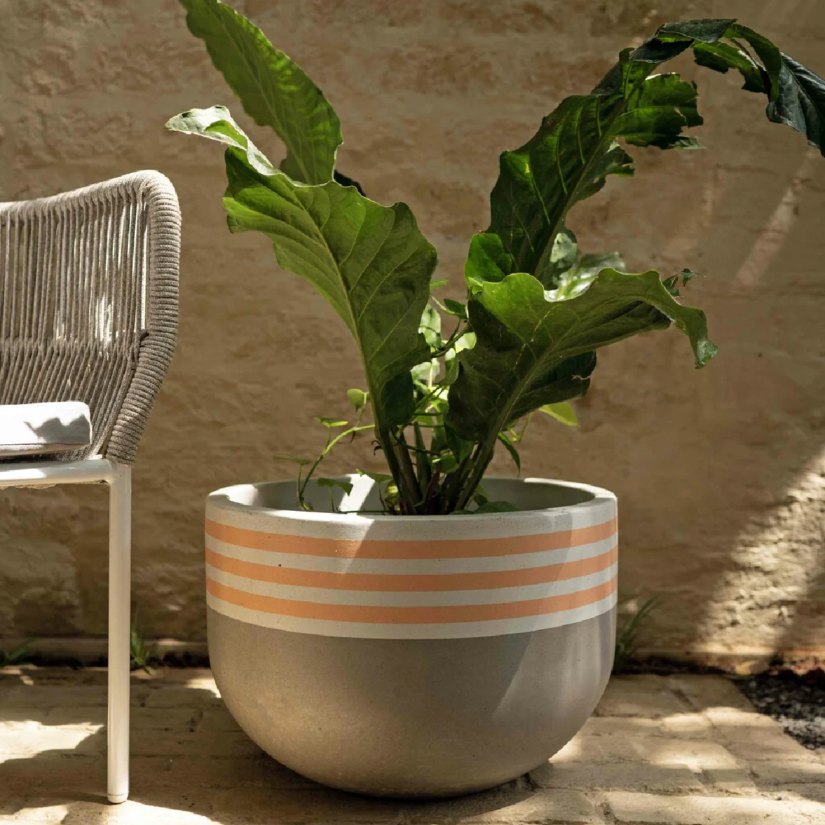 Striped Top Planter