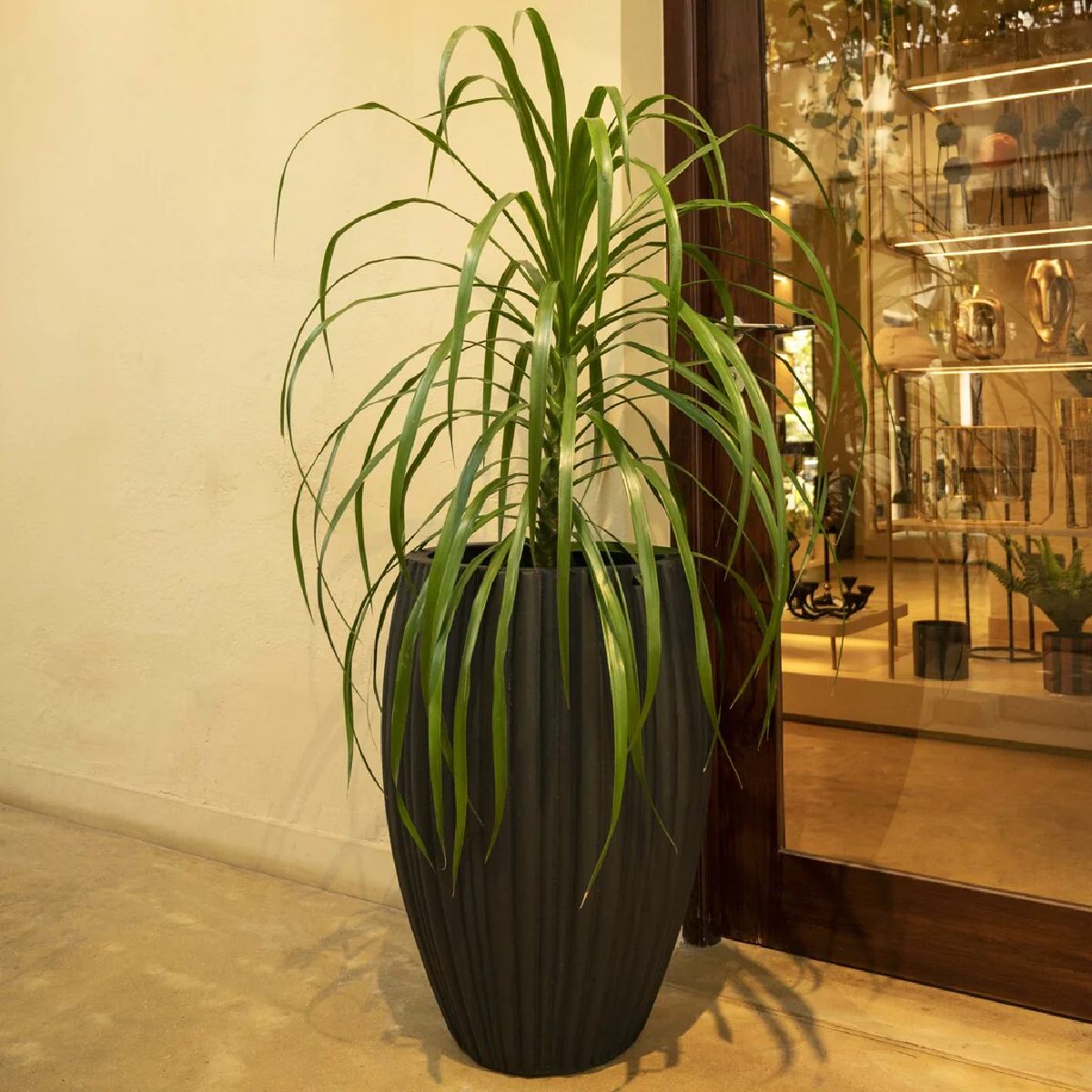 Striped Down Planter